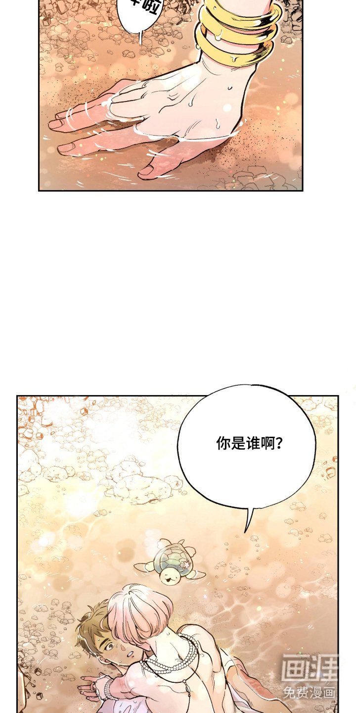 第2章：你是谁