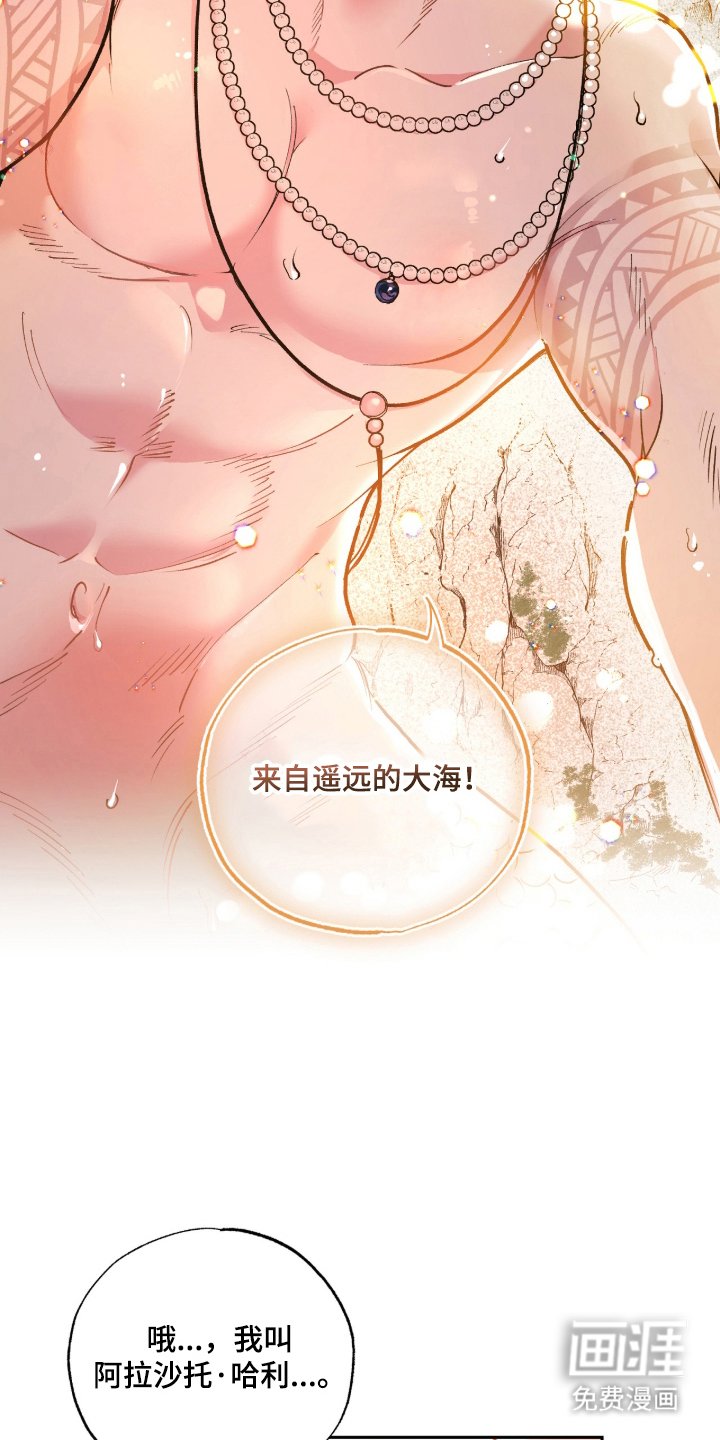 第2章：你是谁