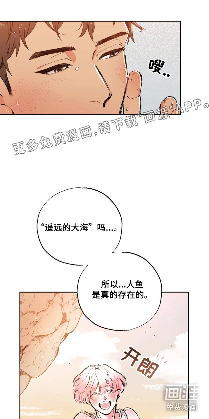 第3章：多彩的光芒