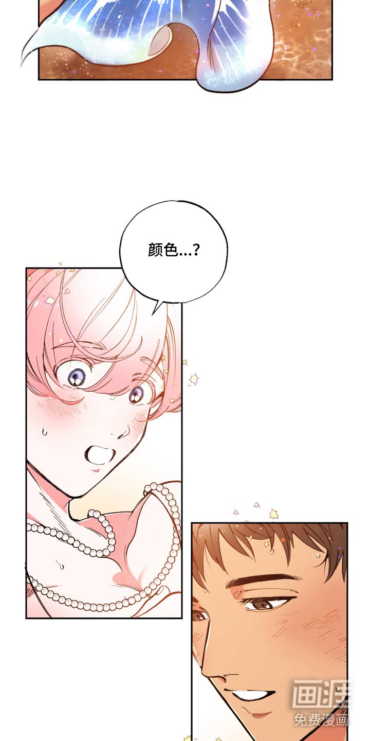 第3章：多彩的光芒