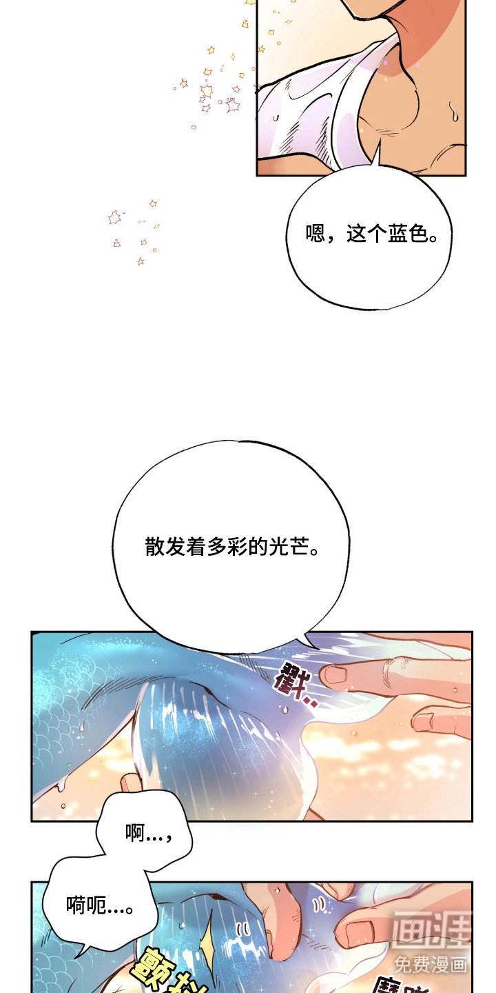 第3章：多彩的光芒