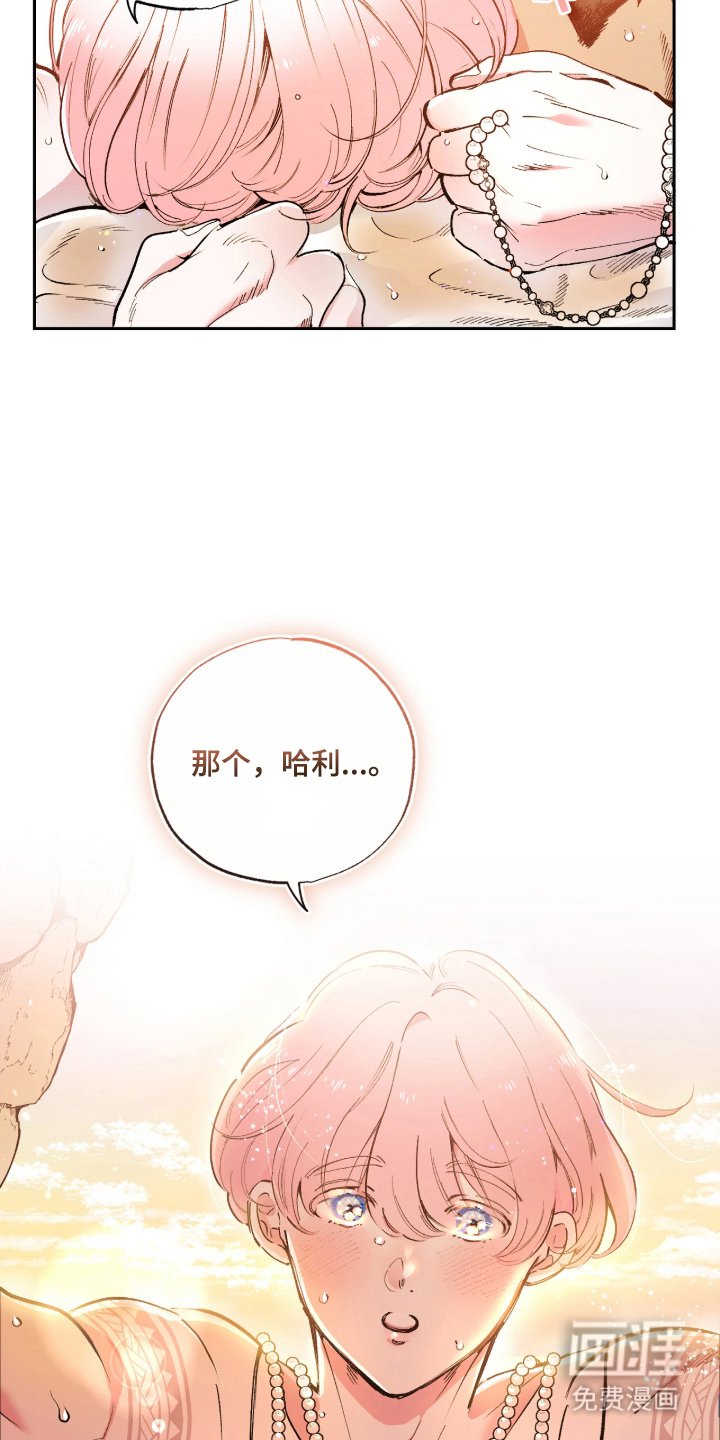 第3章：多彩的光芒
