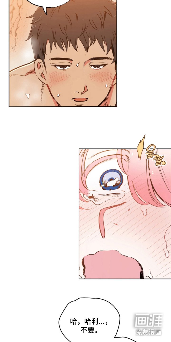 第5章：带回家