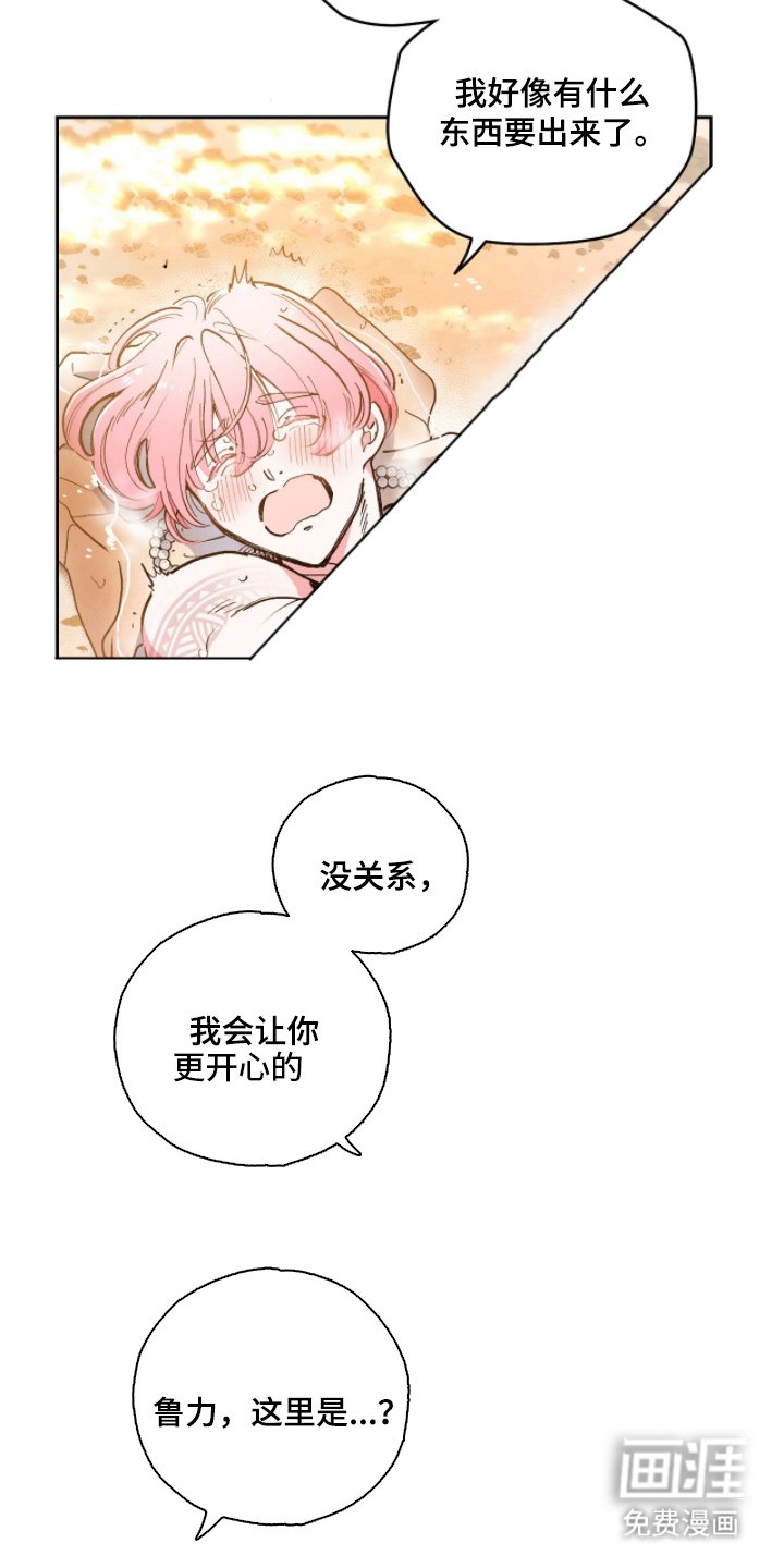 第5章：带回家