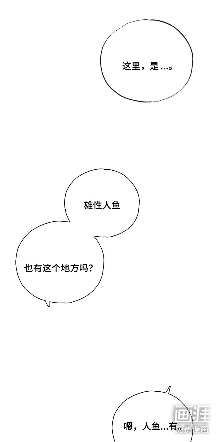 第5章：带回家