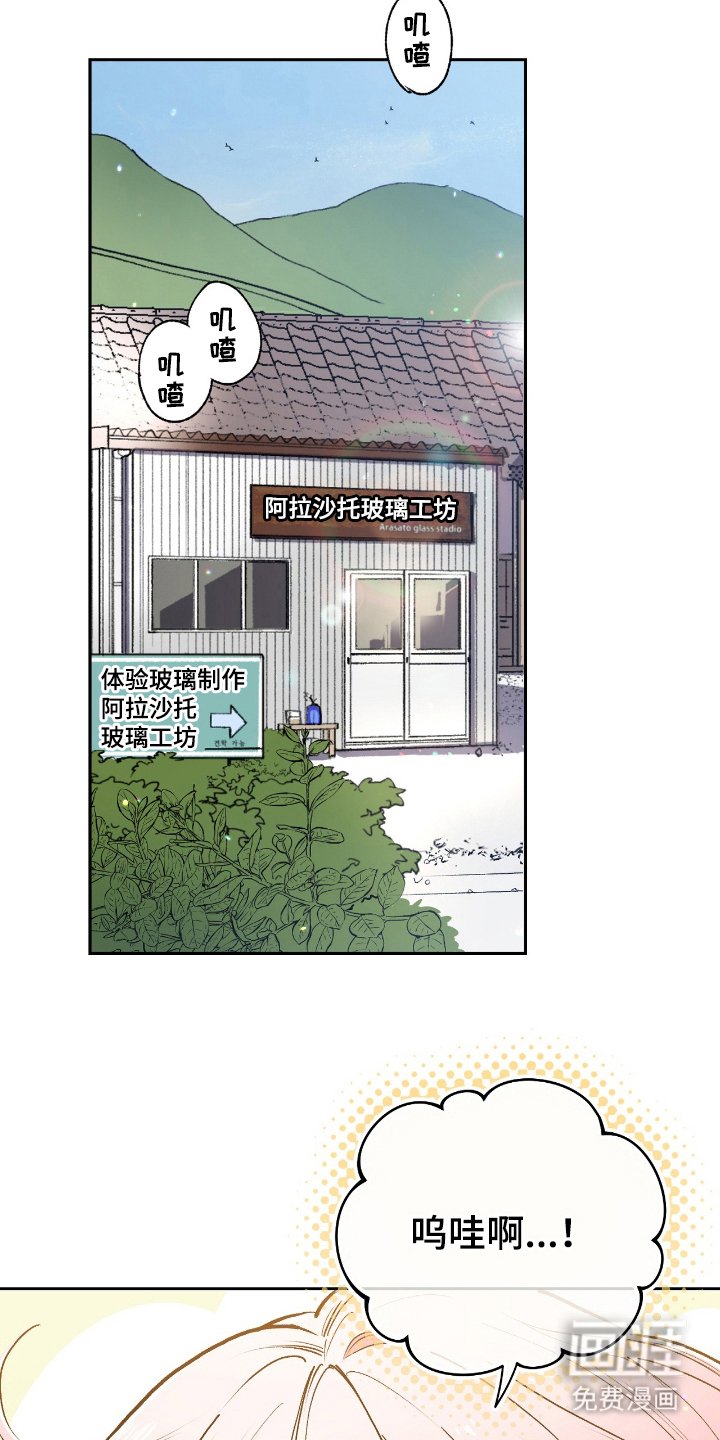 第5章：带回家