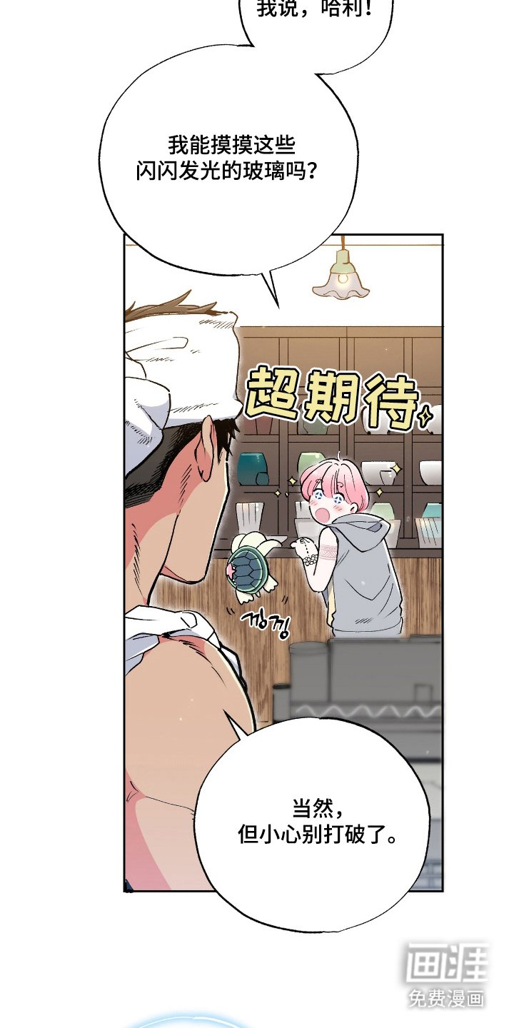 第5章：带回家