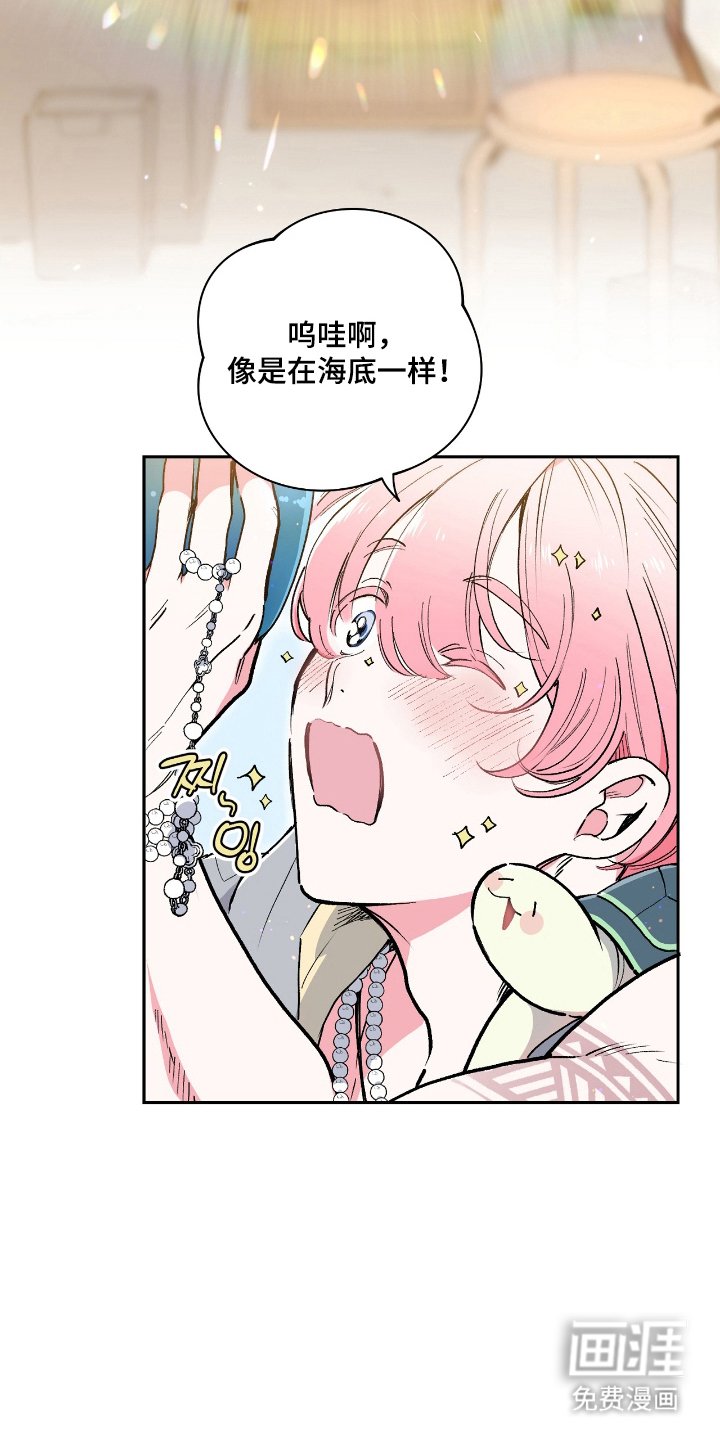 第5章：带回家