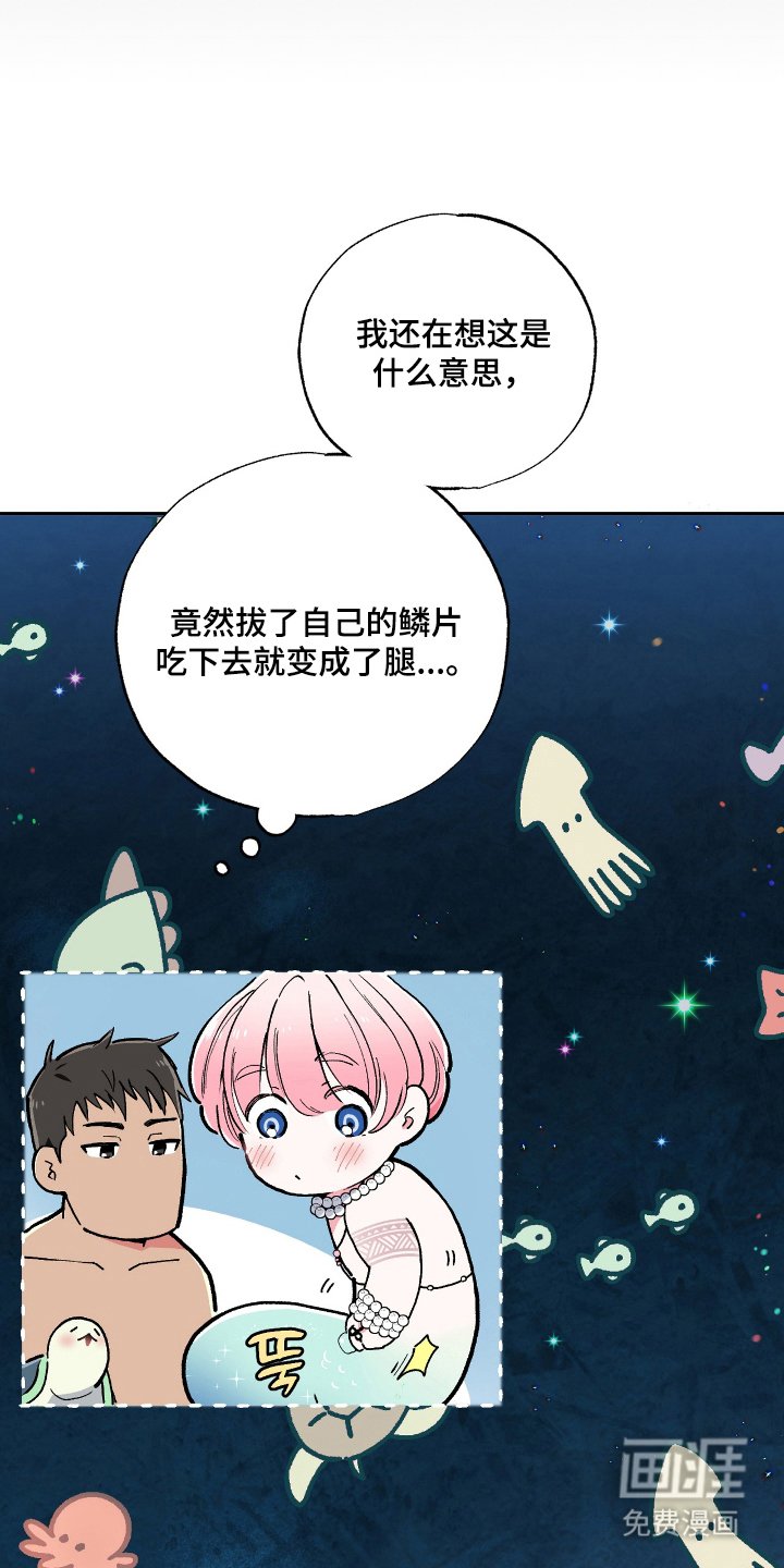 第6章：双腿