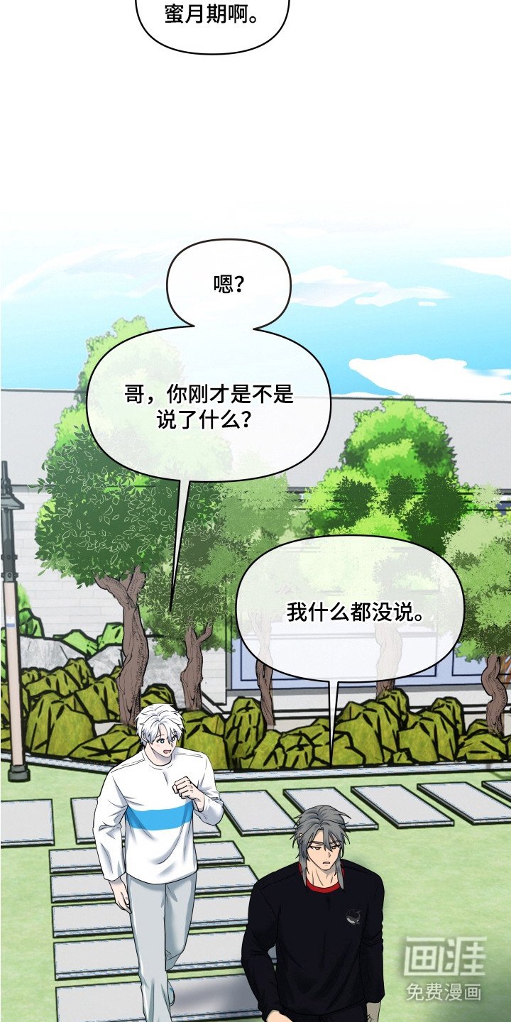 第15章：【番外】八卦与蜜月期