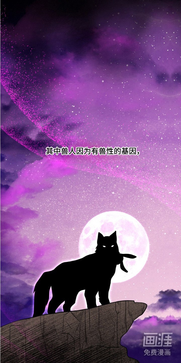 第4章：界线