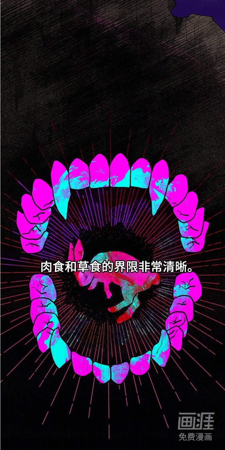 第4章：界线
