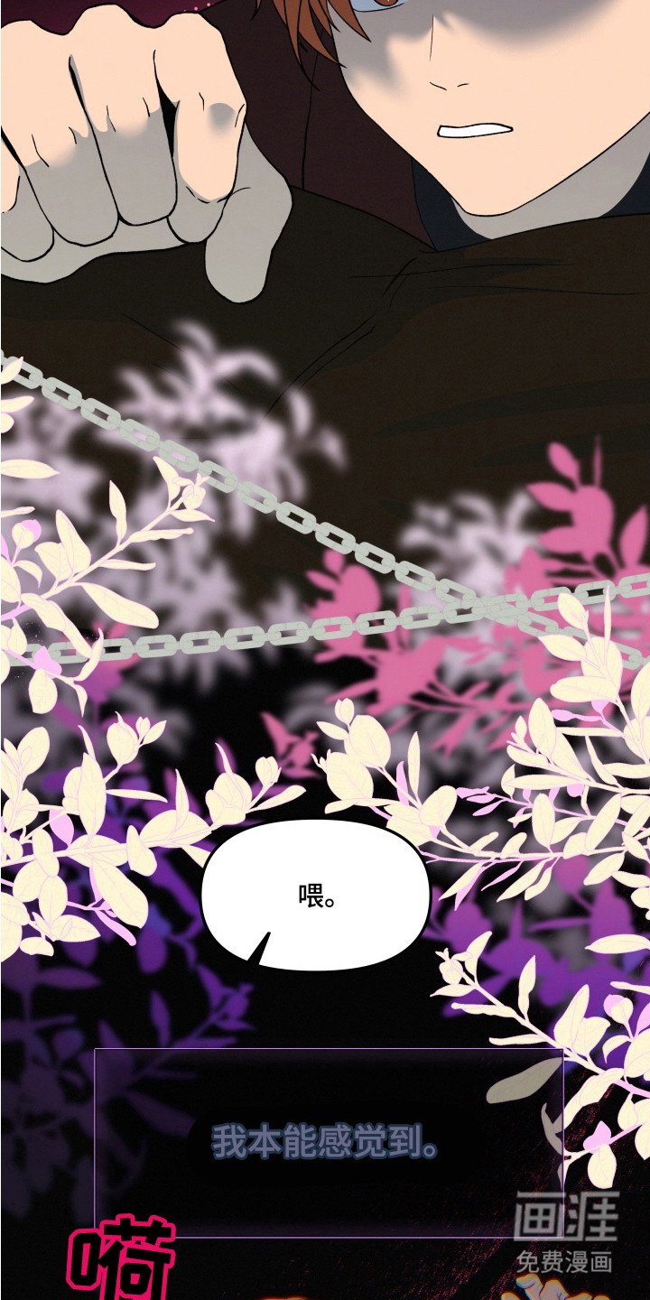 第7章：捕食者