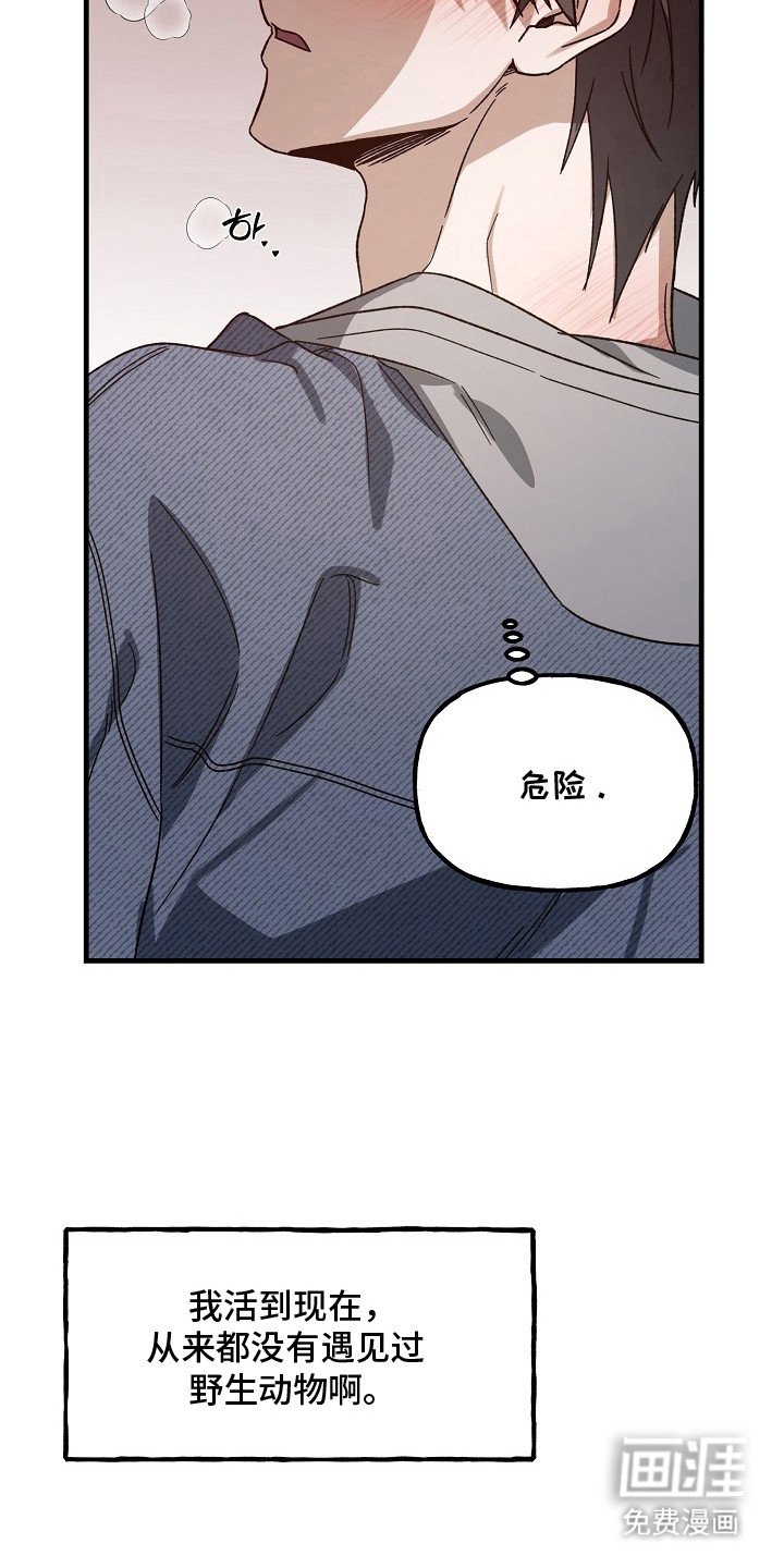 第12章：危险的感觉 