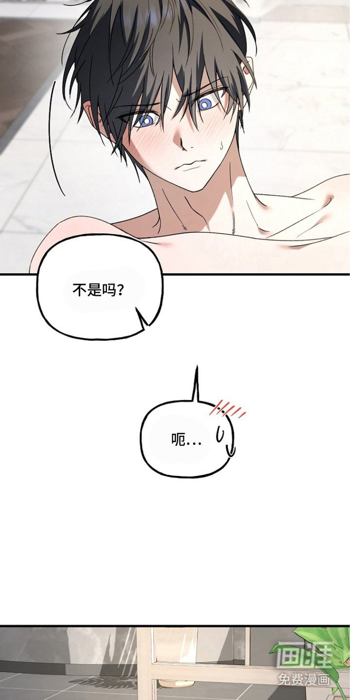 第15章：恶心的味道