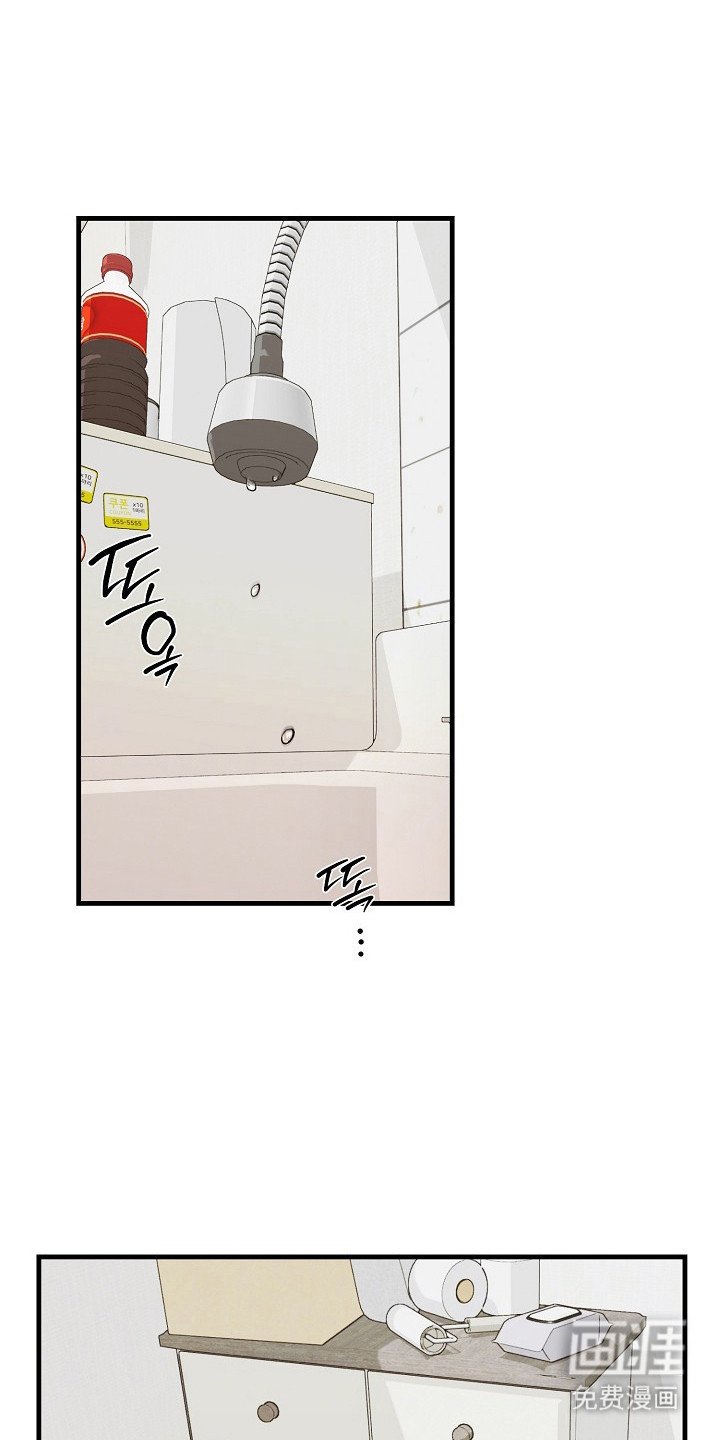 第21章：老虎