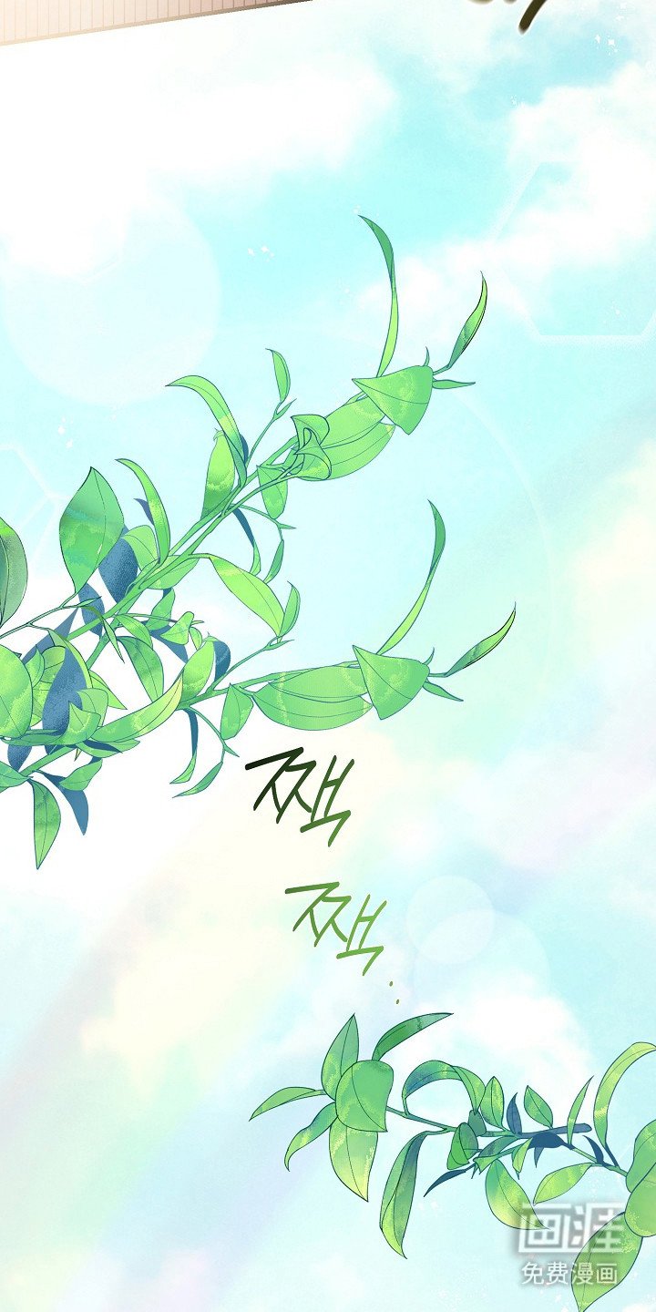 第21章：老虎