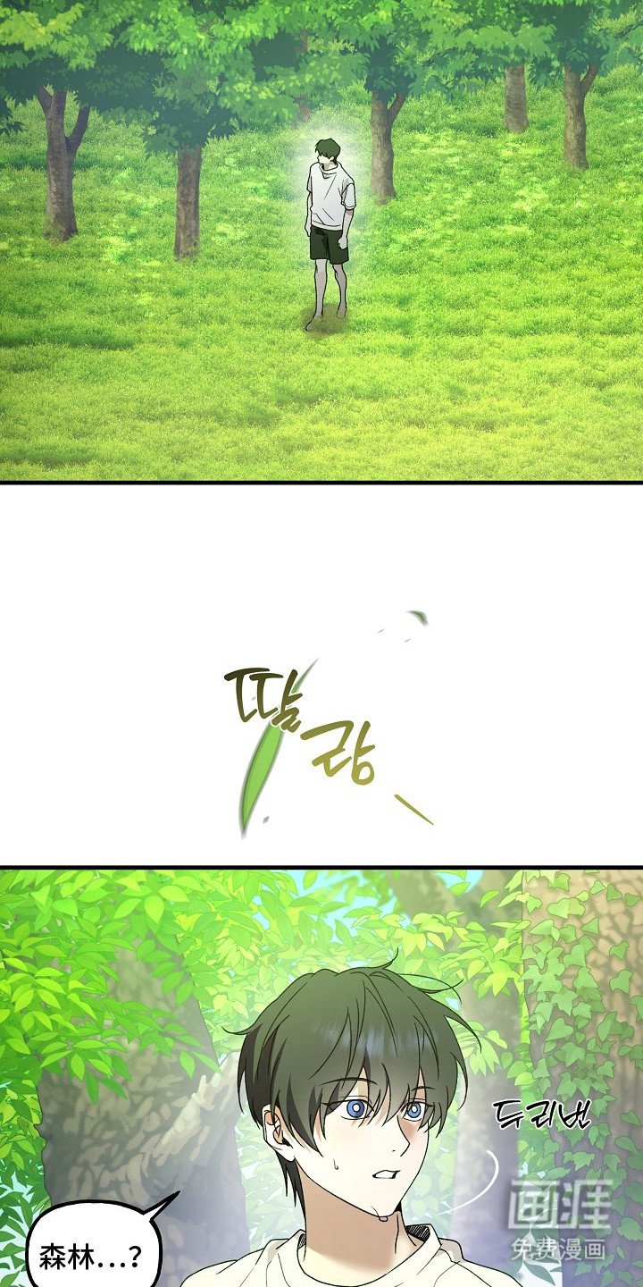 第21章：老虎