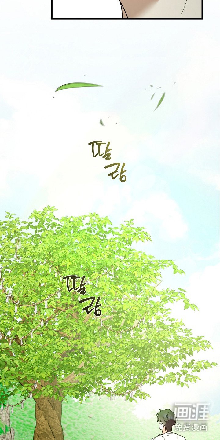 第21章：老虎