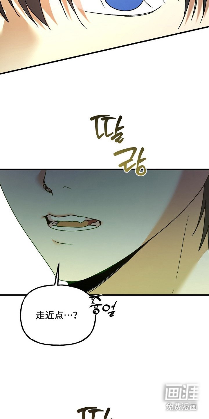 第21章：老虎