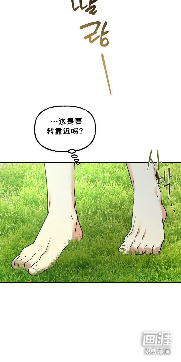 第21章：老虎