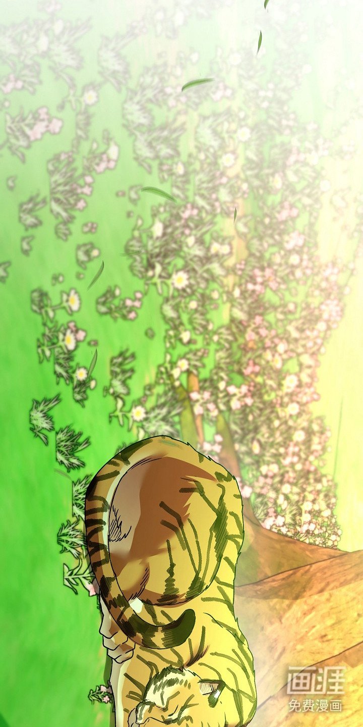 第21章：老虎