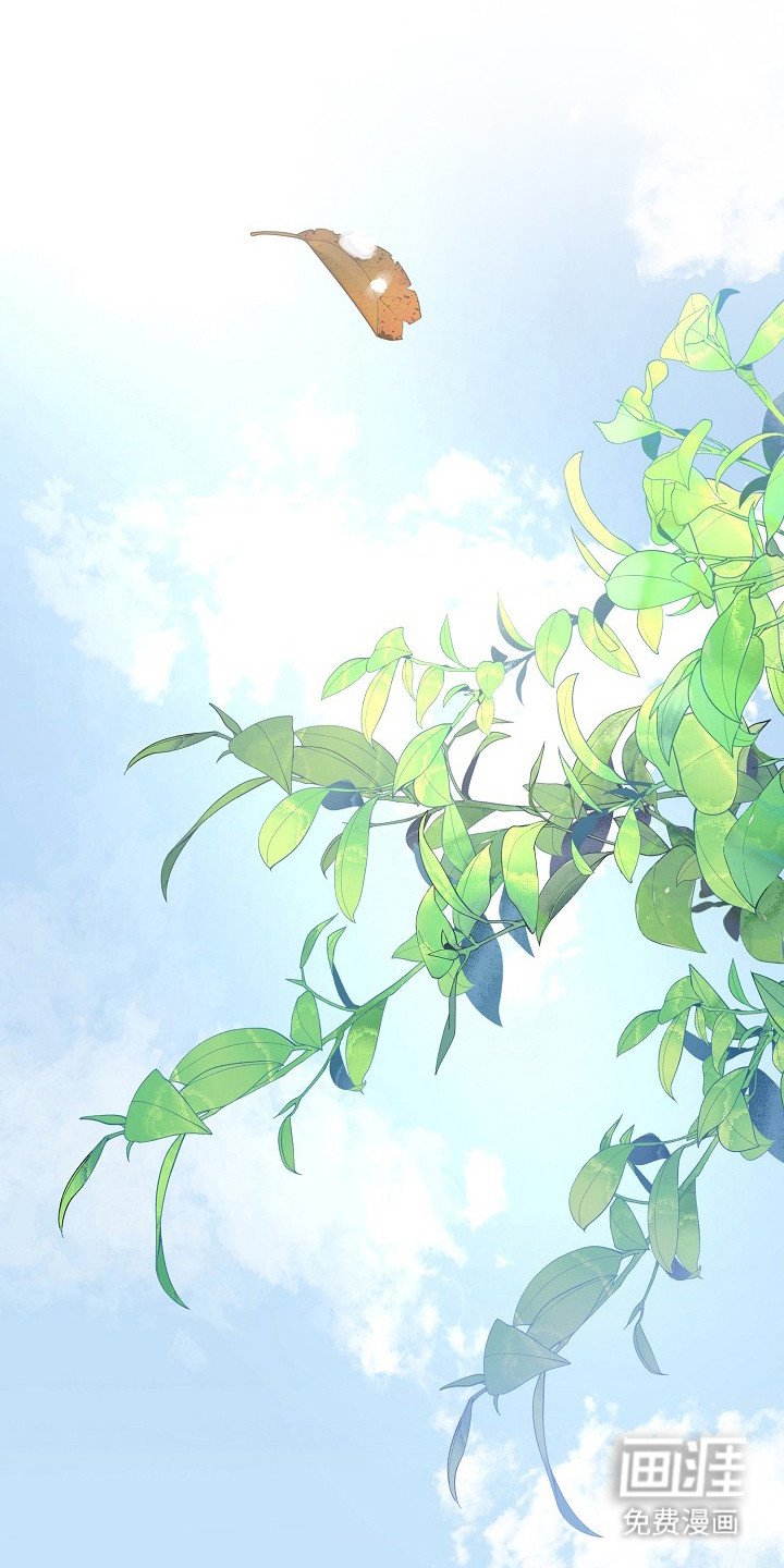 第3章：霉运