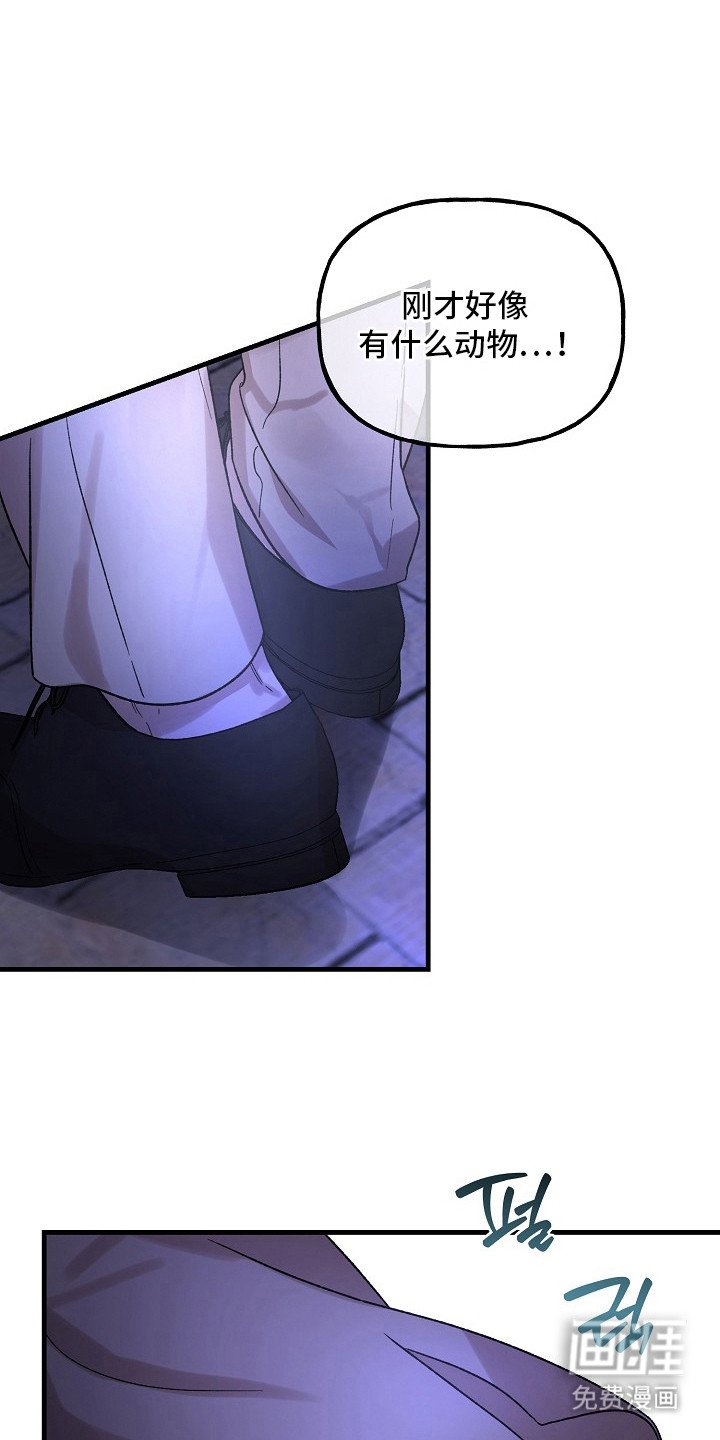 第6章：陌生人
