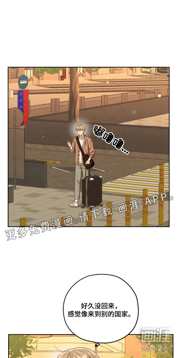 第3章：叛逆少年