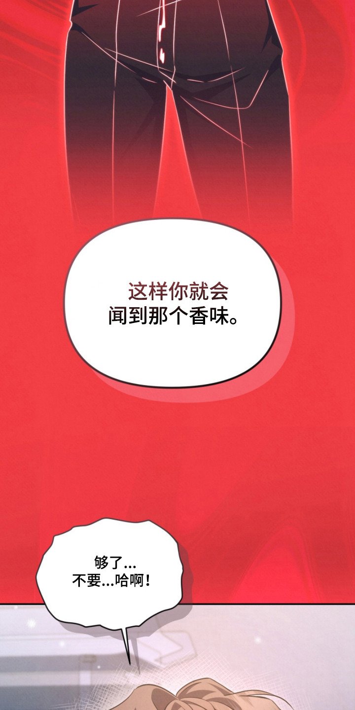 第14章：磨合期