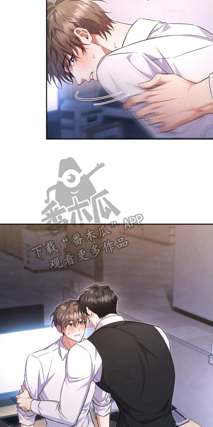 第15章：真实想法
