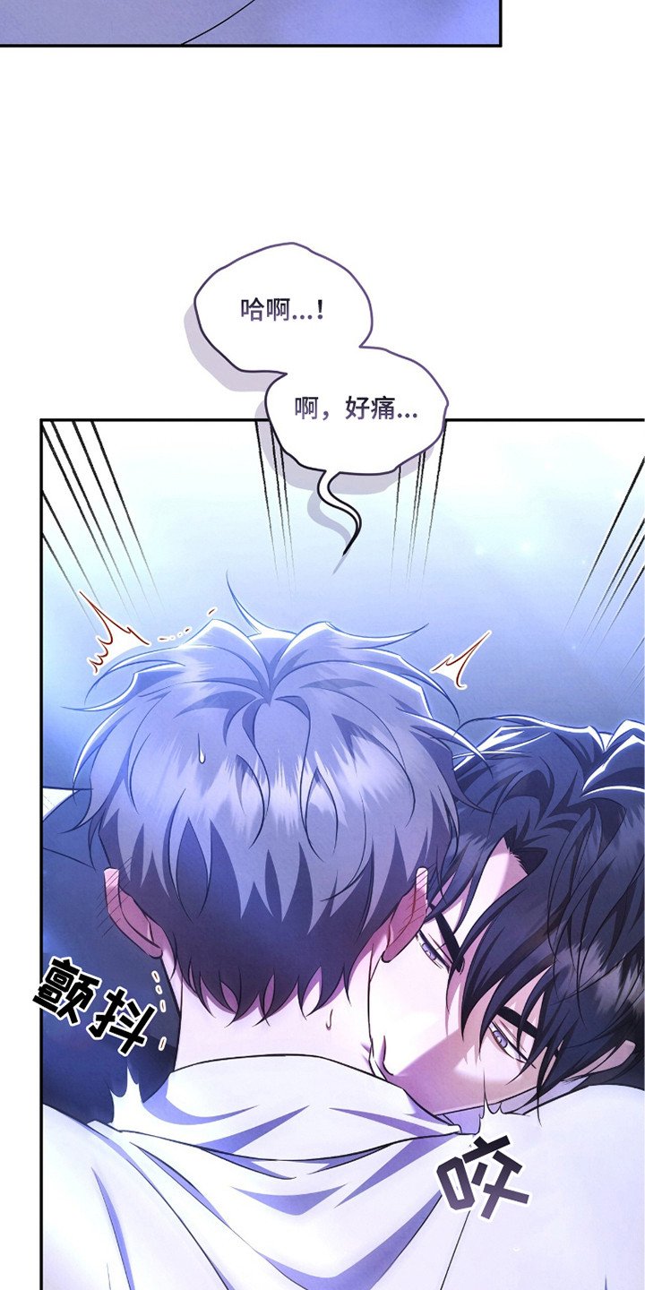 第15章：真实想法
