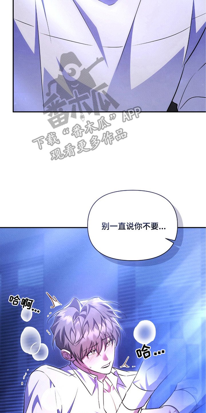 第15章：真实想法