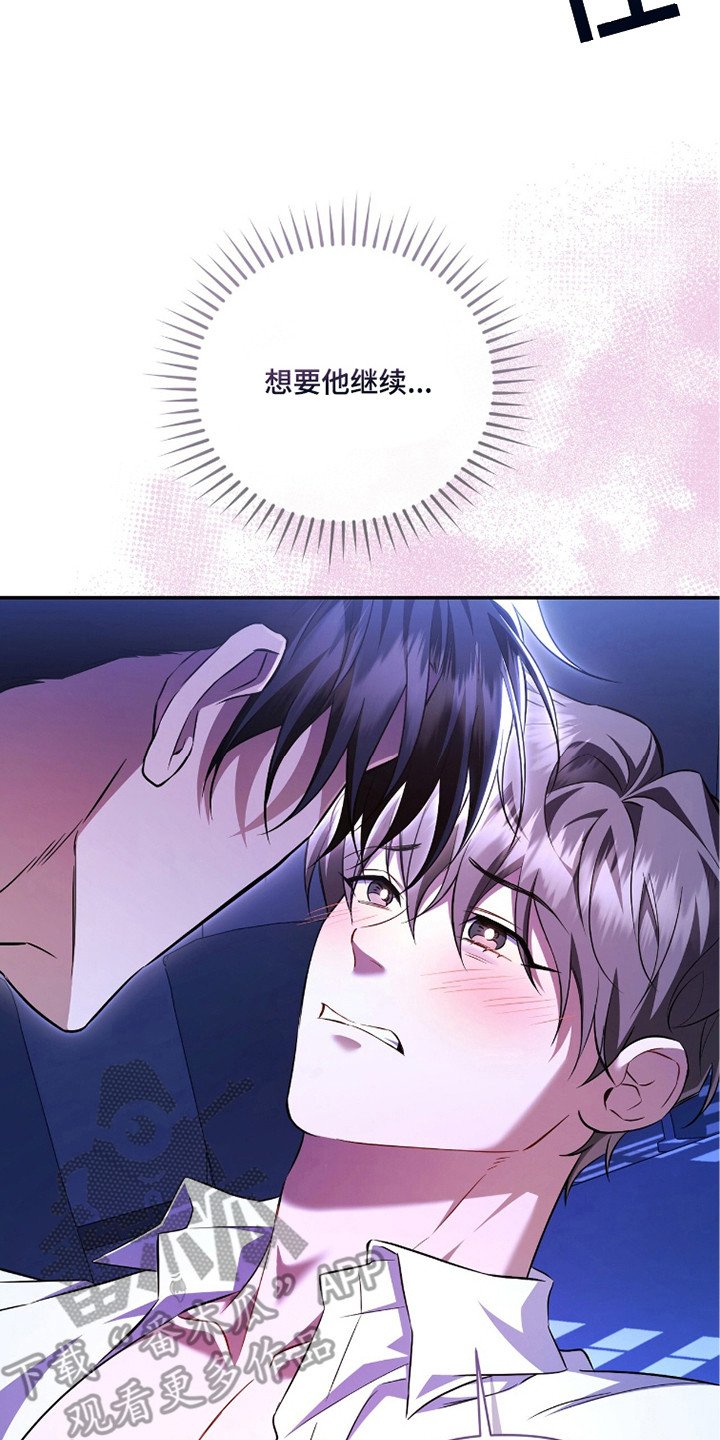 第15章：真实想法