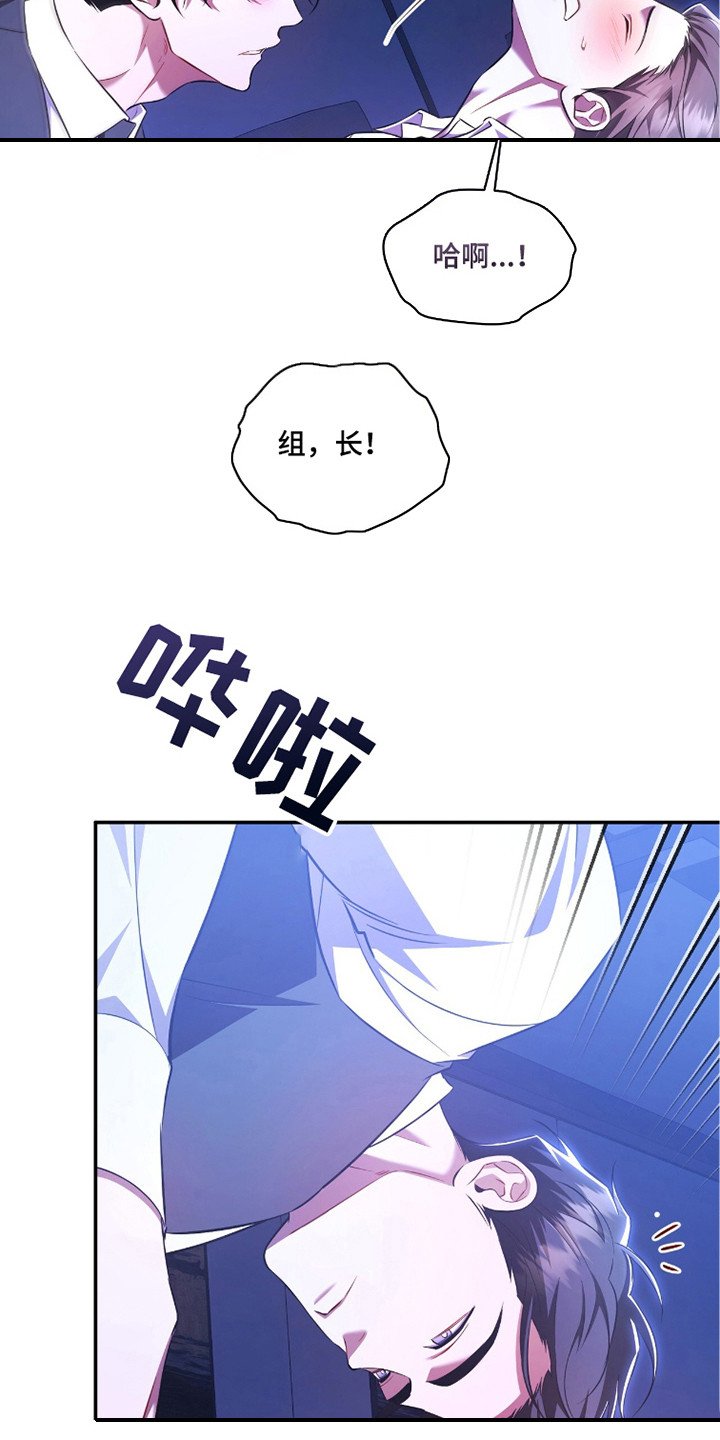 第15章：真实想法