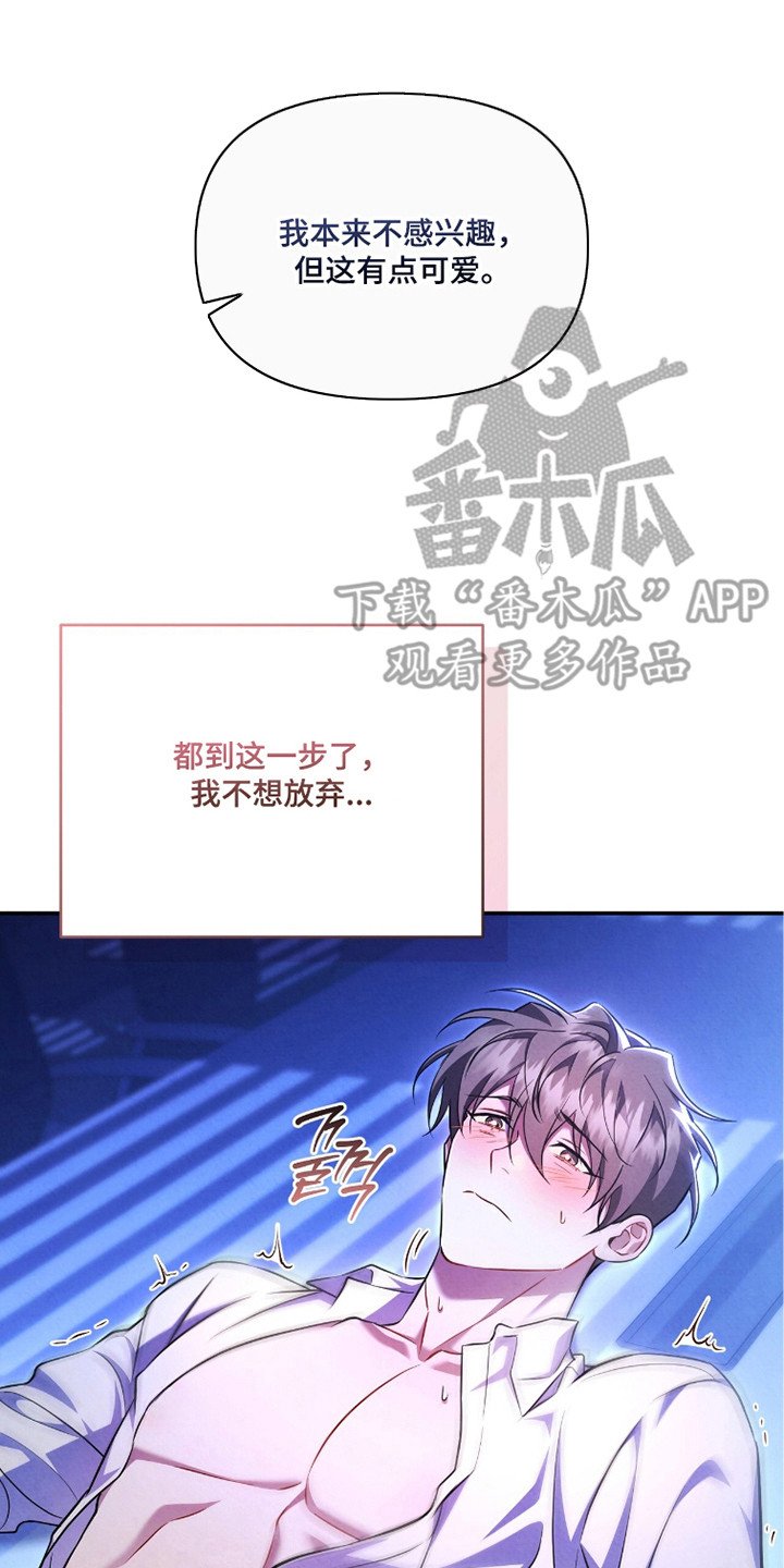 第15章：真实想法