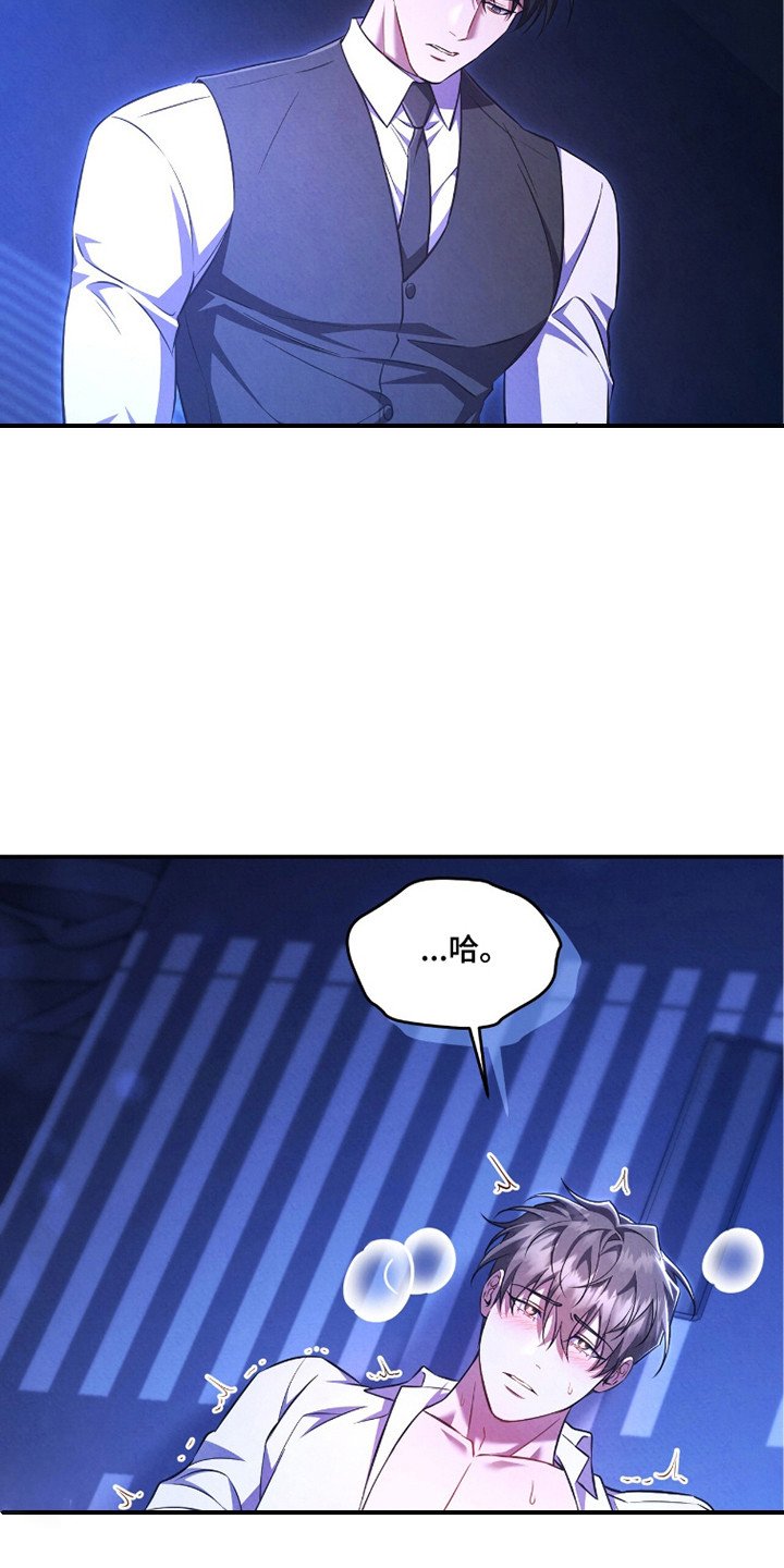 第15章：真实想法