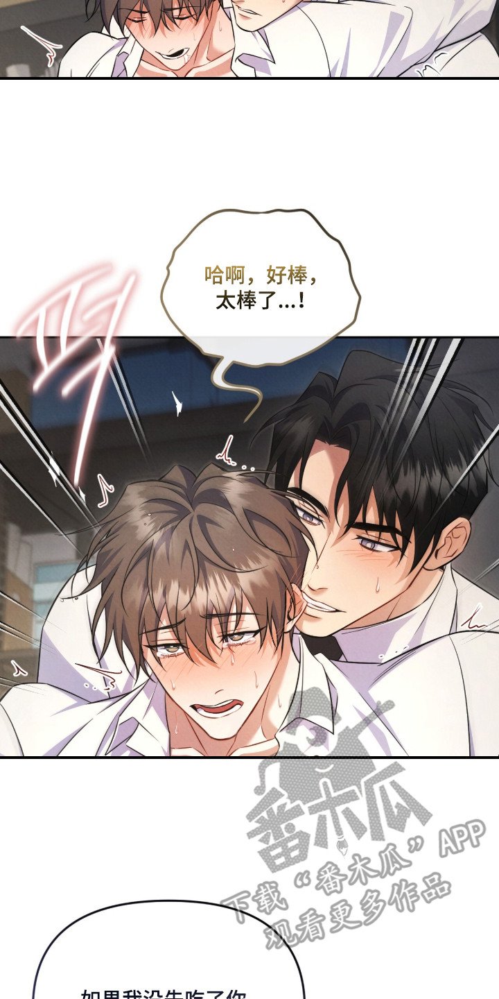 第19章：喜欢这一点（完结）