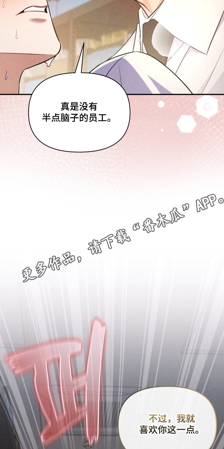 第19章：喜欢这一点（完结）