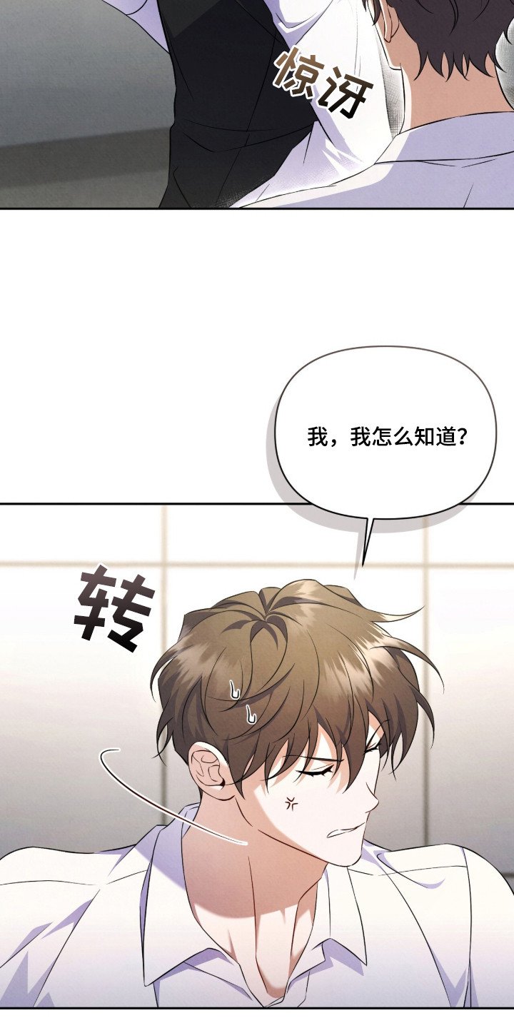 第4章：互相检查