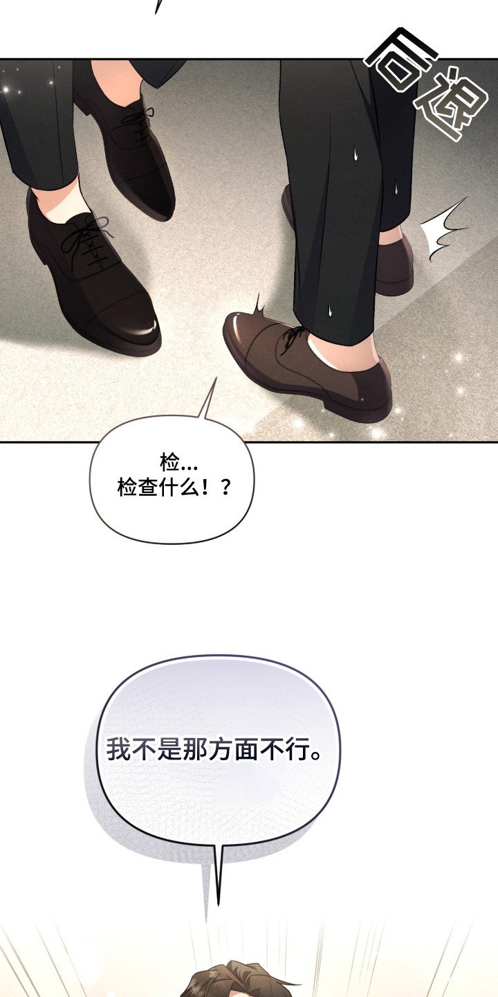 第4章：互相检查