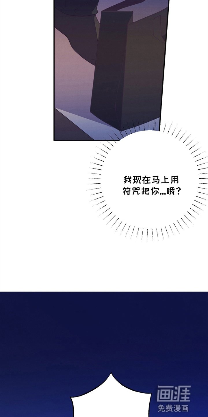 第13章：符咒
