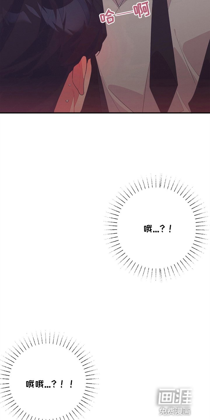 第16章：副作用