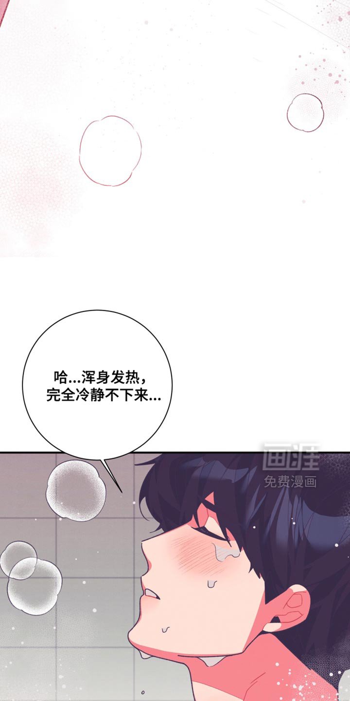 第27章：成分标识