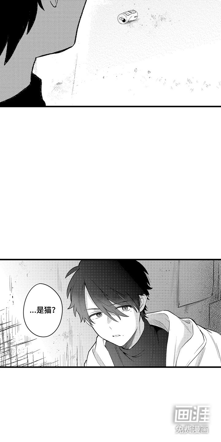 第16章：他去哪了