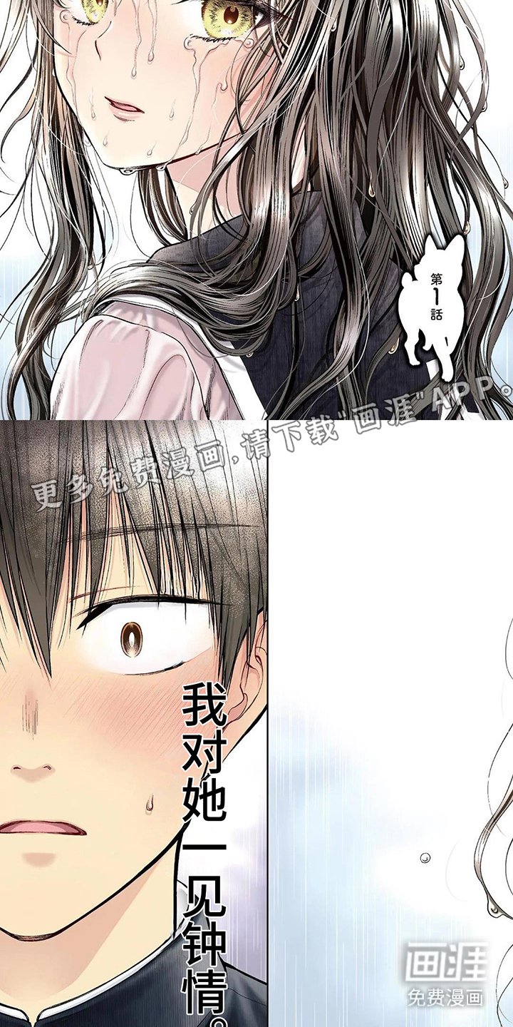 第1章：一见钟情