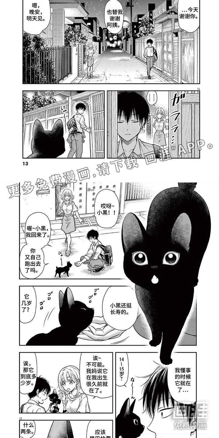 第2章：猫的声音