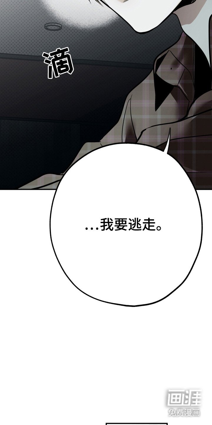第11章：逃避
