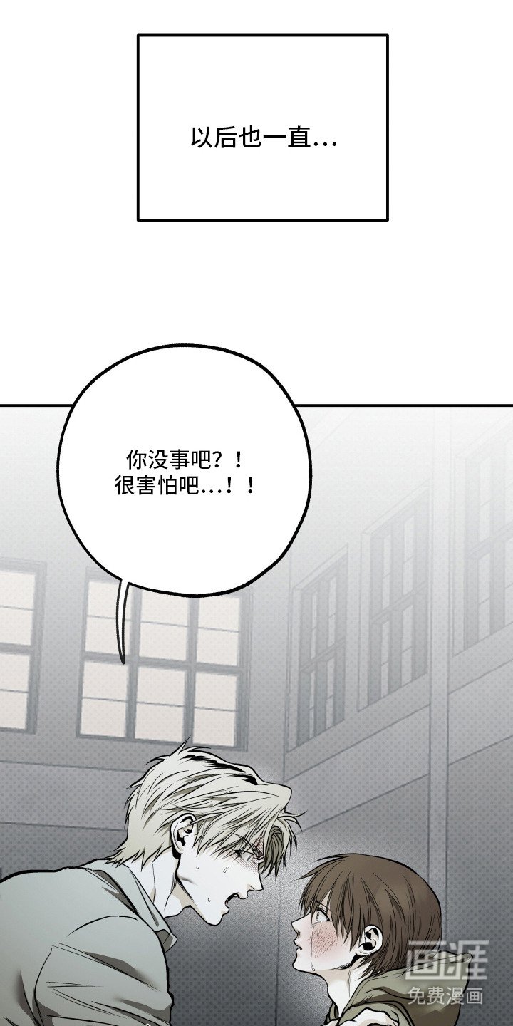 第13章：金盆洗手