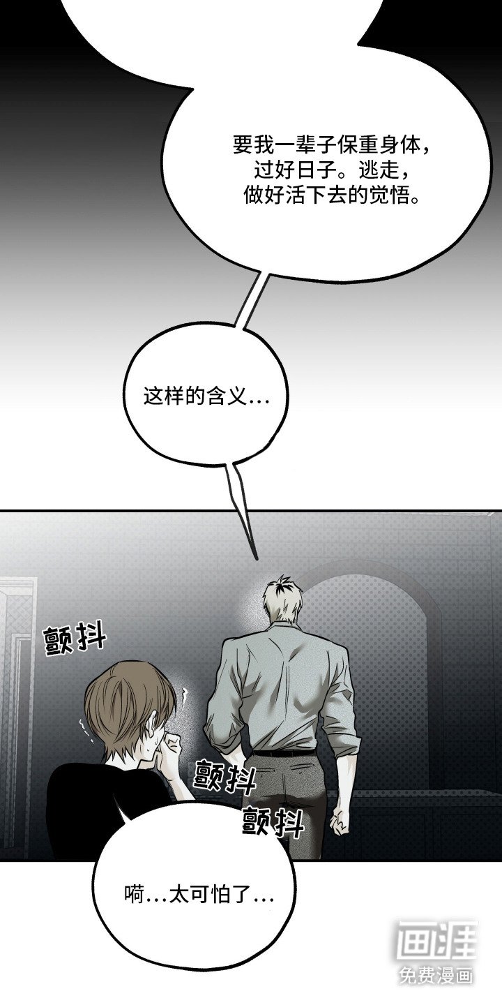 第13章：金盆洗手